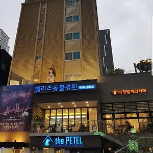 The Petel Premium Busan
