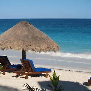 https://sol-caribe-punta-allen.quintano-roohotels.com